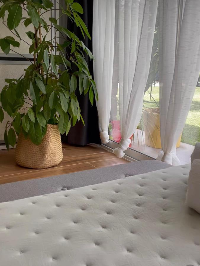 Julia'S Garden Apartment Cuarte de Huerva Ngoại thất bức ảnh